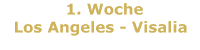 1. Woche - Los Angeles bis Visalia