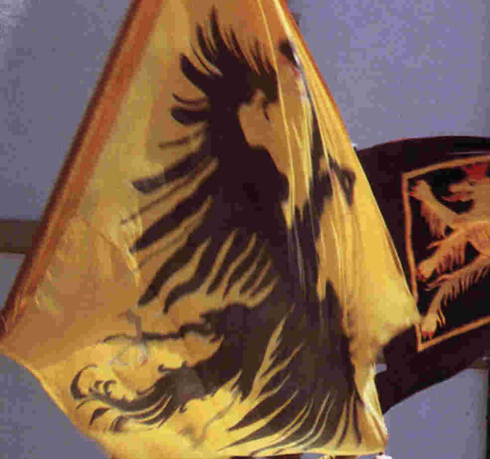 Reichsadler und Pf�lzer L�we