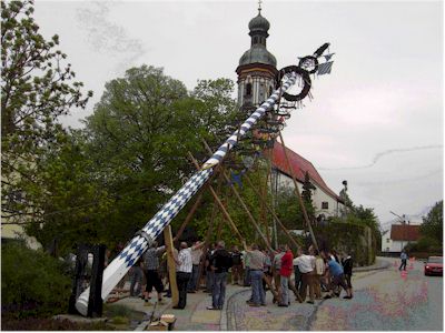 Das Maibaumaufstellen unter der Regie der Feuerwehr im vergangenen Jahr am Kirchplatz