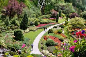 Butchart Garden