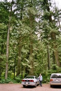 Manning Provincial Park