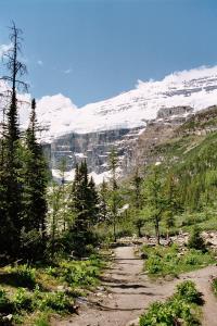 Plain of Six Glacier