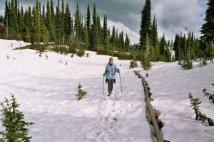 Mount Revelstoke Nationalpark