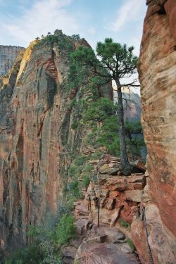 Angels Landing