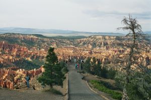 Bryce Point