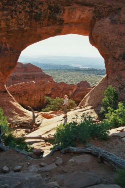 Partition Arch