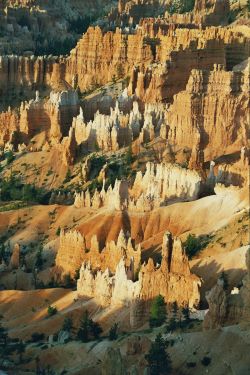 Sonnenaufgang am Bryce Canyon