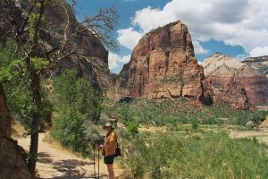 Zum Angels Landing
